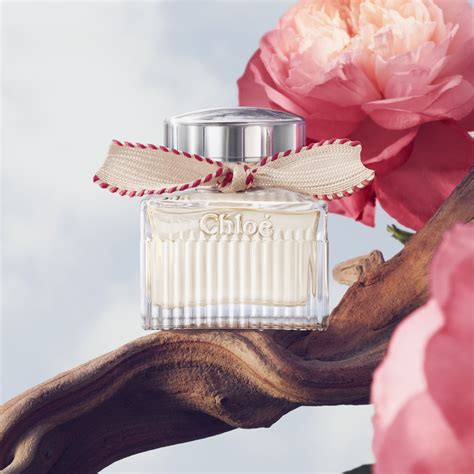 chloe عطر